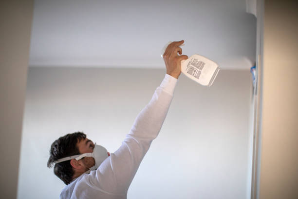 Best Mold Removal Company Near Me  in Heath, TX