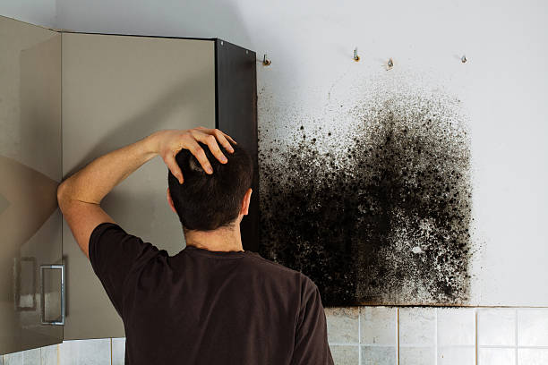 Certified Mold Removal in Heath, TX